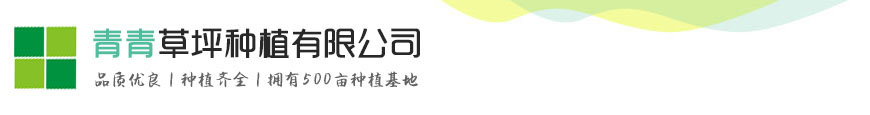 开云(中国)Kaiyun·官方网站-登录入口-开云